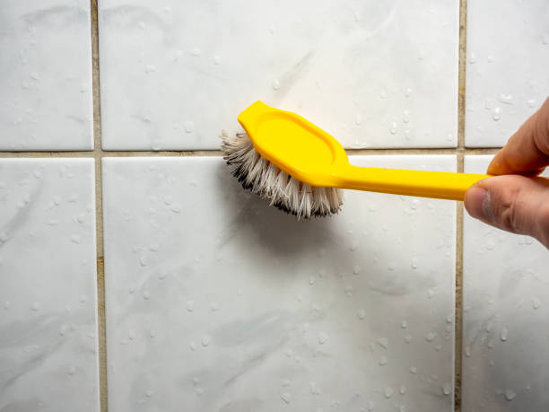Best Mold Remediation Experts  in Soldotna, AK